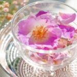 「キンモクセイの香りが告げる秋の訪れ：季節ごとの美しさとその魅力」