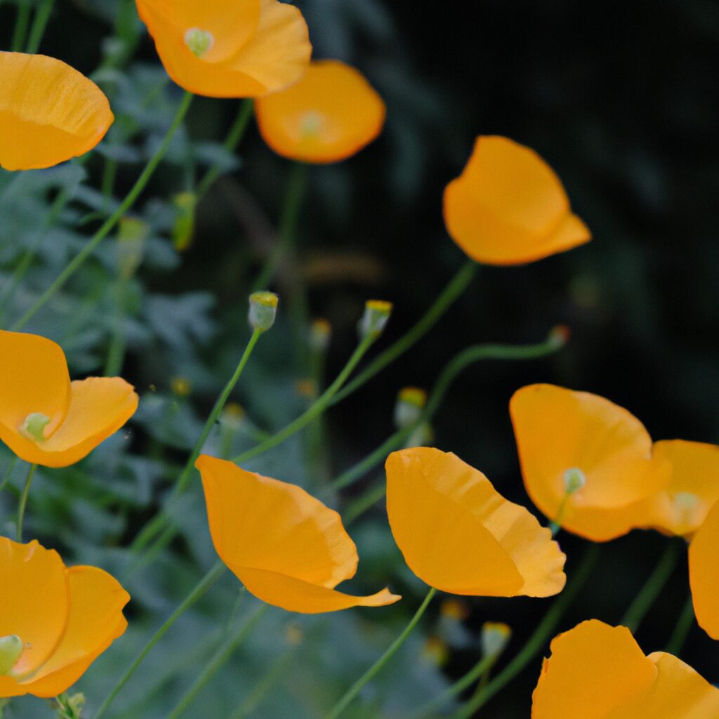 「秋の香りの秘密：キンモクセイの魅力とその芳香成分の不思議」