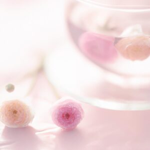 「秋の風物詩!キンモクセイの魅力とその圧倒的な香りの強さに迫る」