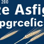 「株式投資の成功の鍵！リターンオンエクイティ（ROE）を理解して賢く投資する方法」