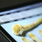 「株式投資成功の鍵！心理学を活用して市場を読み解く方法」