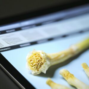 「株式投資成功の鍵！心理学を活用して市場を読み解く方法」