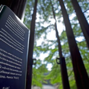 「株式投資入門:初心者が知るべき資産運用の基本と成功の秘訣」