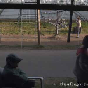 「株式投資の基本から応用まで:効果的な株式銘柄比較の方法」