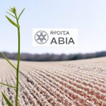 「株式投資の始め方: 最適な株式取引プラットフォームの選び方ガイド」