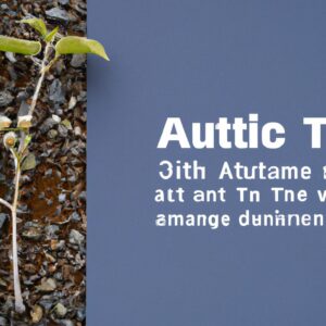 「株式投資の基本から上級者向け戦略まで:効果的な株式運用戦略をマスターするためのガイド」