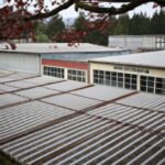 「株式投資の勝者たち: 株式市場のリーダー銘柄を見極めるための究極ガイド」