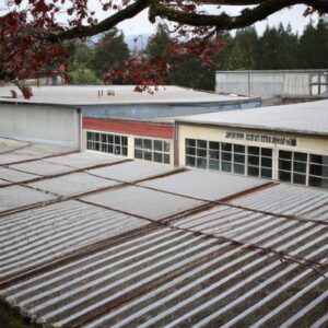 「株式投資の勝者たち: 株式市場のリーダー銘柄を見極めるための究極ガイド」