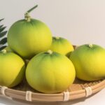 「株式投資の成功への道：効果的な株式市場トレードプランの作成ガイド」