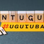 「初心者必見!投資信託の基礎と賢い選び方ガイド」