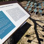 「証券会社の視点から解説！公募増資が株価に与える影響とは？」