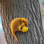 「ウォーキングでリズムを感じる！毎日の散歩がもたらす驚きの健康効果」