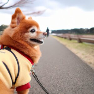 「ウォーキングと犬の散歩：健康と幸福をもたらす究極のコンビ」