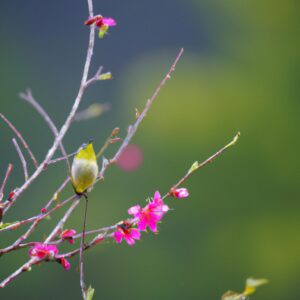「梅雨のジメジメを吹き飛ばせ！ジョギングで気分も体もスッキリさせる方法」