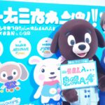 「ジョギング愛好家必見！最新ランニングシューズ開発の裏側と選び方の完全ガイド」