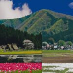 "解放への旅: 魂の成長を促す日常の習慣"