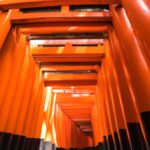 "魂の成長と自己実現への旅：あなたの内なる可能性を解放する方法"