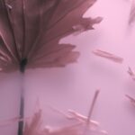 "魂の成長と本質的自己の探求：内なる平和への究極のガイド"