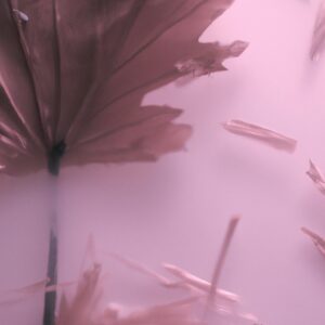 "魂の成長と本質的自己の探求：内なる平和への究極のガイド"