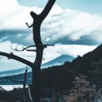 "魂の成長と本質的な気づき：人生を変える深い洞察への旅"