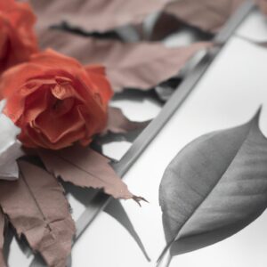 「魂の成長と心の成長：人生を豊かにするための究極のガイド」