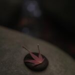 "魂の成長と自己受容：内なる平和への究極の旅"