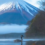 "魂の成長と無条件の慈悲：人生を変える深い理解への旅"