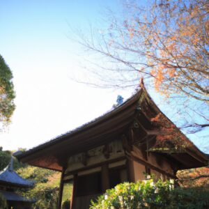 "魂の成長と意識の純粋な状態:内なる平和への究極の旅"