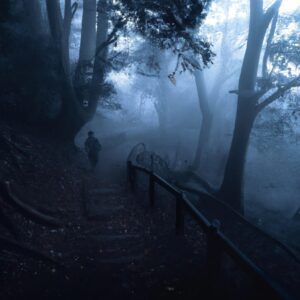 "魂の成長と内なる光の理解:自己発見の旅への招待"