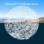 「カルマと波動があなたの運命をどう形作るか?-自分のエネルギーを理解して人生を変える方法」