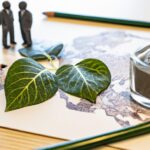 "脳の成長が感情に与える影響：科学が明かす心の進化"