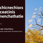 「脳の成長を促進!科学に基づいた効果的な脳トレ方法とは?」