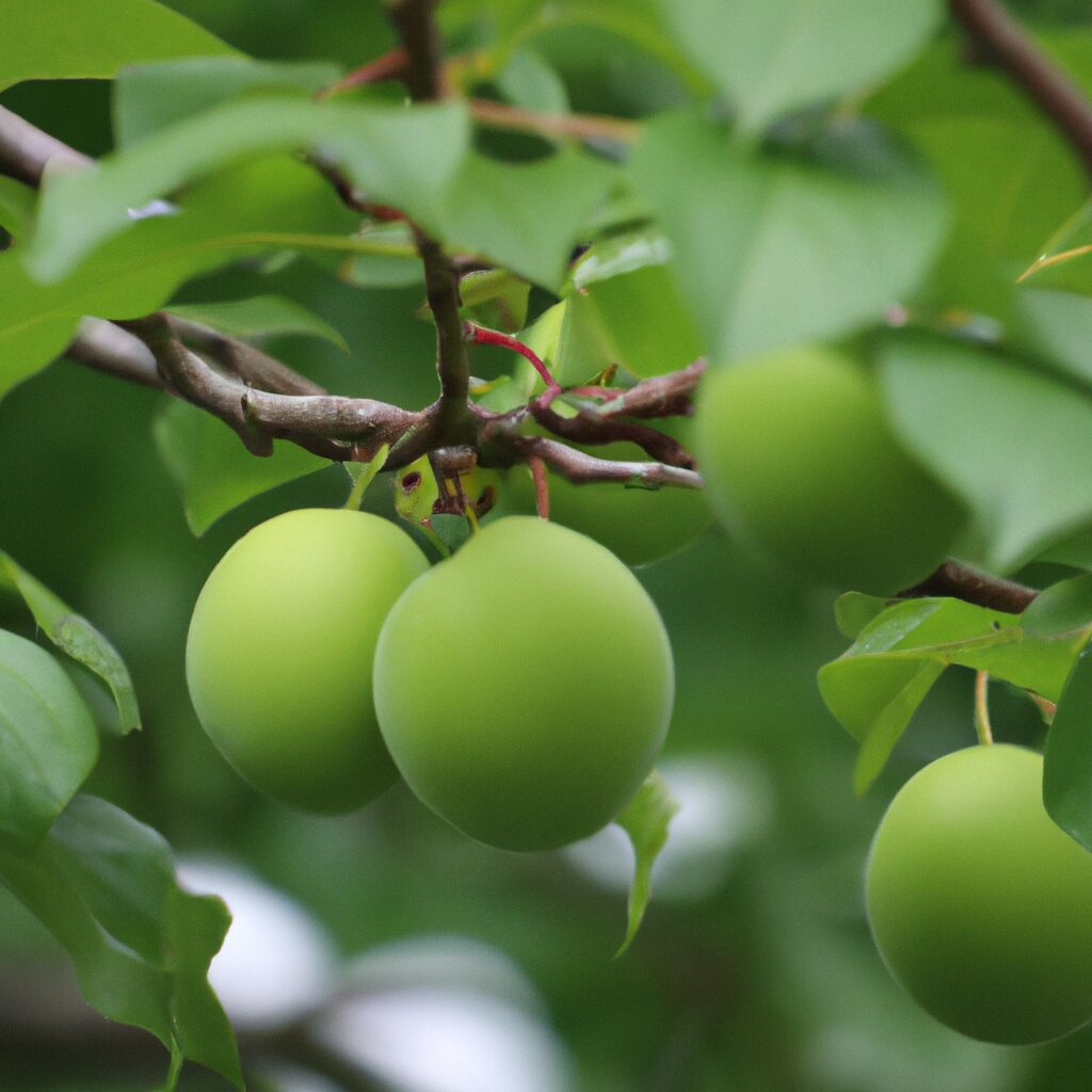 「脳を育てる栄養素：ビタミンが脳の成長に果たす驚くべき役割」