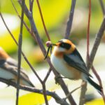 "筋トレが脳の成長に与える驚きの効果！身体と頭脳を同時に鍛える方法"