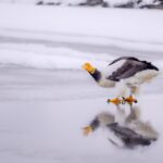 "脳の成長を促進する！知識の探求がもたらす驚くべき効果とは？"