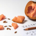 "脳の成長を促進する！批判的思考を鍛える5つの日常習慣"