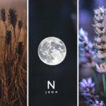 「脳の成長に影響を与える光害：夜間の照明が私たちの健康に及ぼす意外な影響」