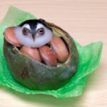 「脳を育てる鍵：ドーパミンが果たす驚くべき役割とは？」