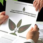 「健康革命を始めよう！あなたの健康づくり目標達成のためのステップバイステップガイド」