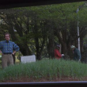 「痛みを乗り越え、健康を取り戻す:日常生活でできる5つの自然療法」