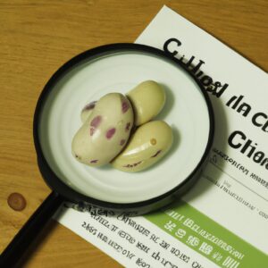 「ベジタリアンの食事がもたらす驚くべき健康効果:あなたの体と地球を救う選択」